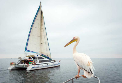 Namibie - Walvis Bay - Croisière en Catamaran au coucher du soleil