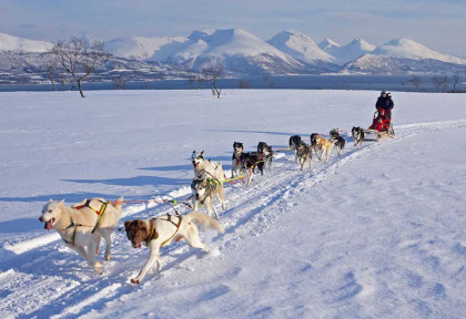 Norvège - Circuit Nuit insolite, husky et aurores boréales © Bard Loken - www.nordnorge.com