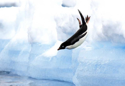 Croisières PONANT - Antarctique - L'Antarctique Emblématique © Studio Ponant, Sylvain Adenot