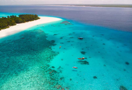 Tanzanie - Zanzibar - Excursion Snorkeling à la réserve marine de Mnemba © Shutterstock, Thomas Pommerin