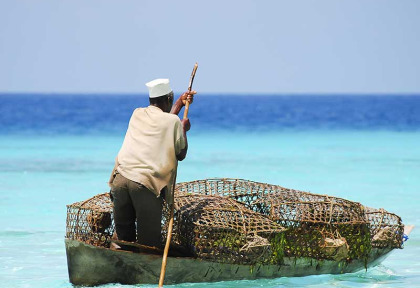 Tanzanie - Zanzibar - Excursion sur l'Ile de Tumbatu ©Shutterstock, Adwoy