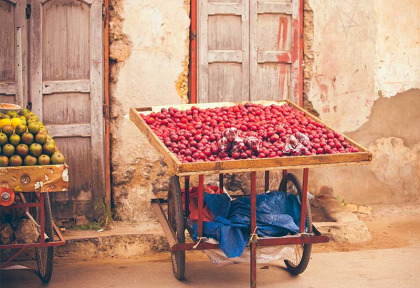 Tanzanie - Zanzibar - Visite guidée de Stone Town ©Shutterstock, Margo1778