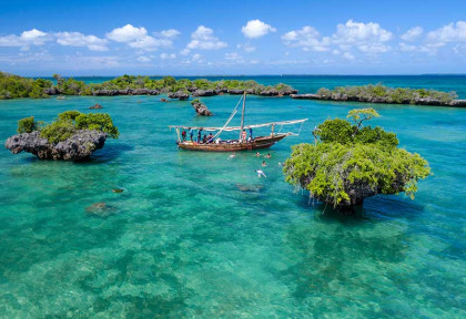 Tanzanie - Zanzibar - Croisière Safari Blue ©Shutterstock, Olesya Lesly