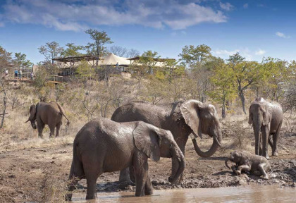 Zimbabwe - Chutes Victoria - Elephant Camp