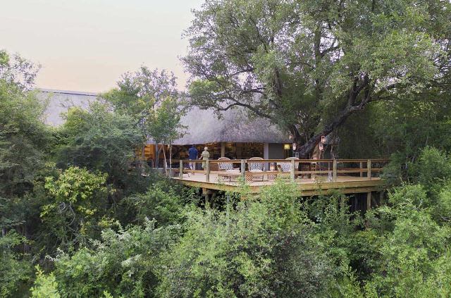Afrique du Sud - Londolozi Game Reserve - Londolozi Pioneer Camp