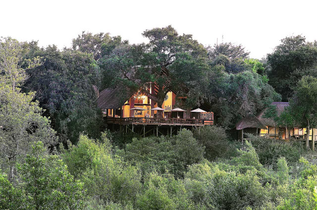 Afrique du Sud - Londolozi Game Reserve - Londolozi Varty Camp