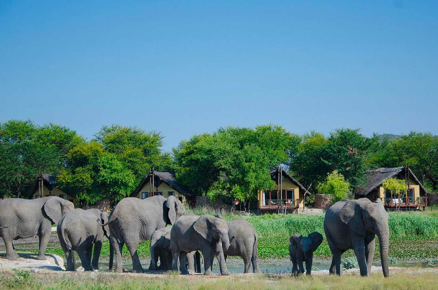 Afrique du Sud - Madikwe Game Reserve - Tau Game Lodge