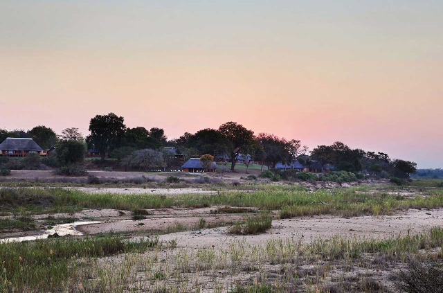 Afrique du Sud - MalaMala Game Reserve - MalaMala Camp