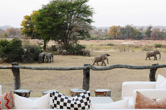 Afrique du Sud - MalaMala Game Reserve - MalaMala Sable Camp