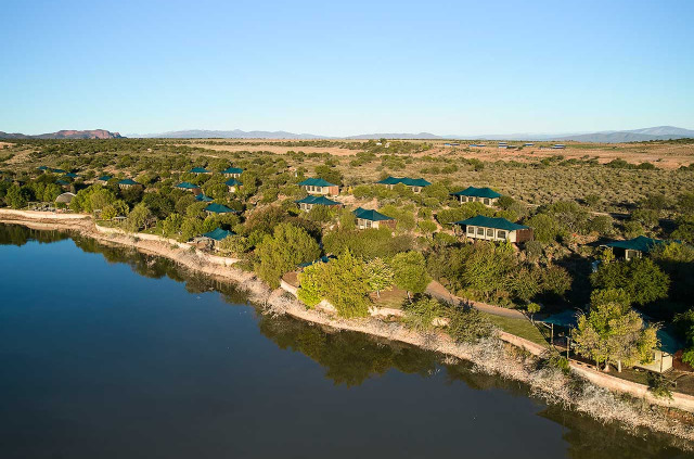 Afrique du Sud - Oudtshoorn - Buffelsdrift Game Lodge