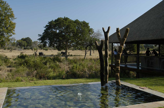 Afrique du Sud - Sabi Sabi Private Game Reserve - Sabi Sabi Bush Lodge