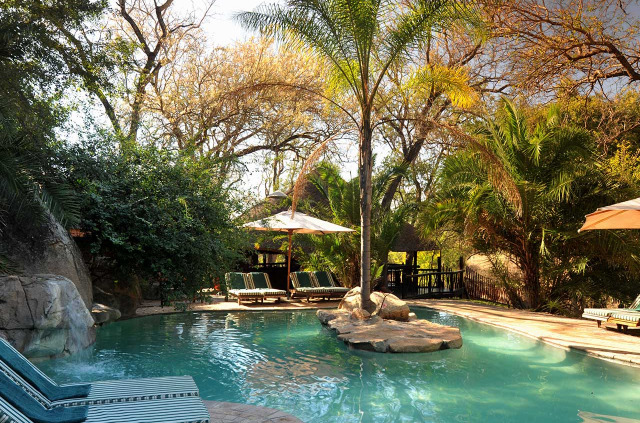 Afrique du Sud - Sabi Sands Game Reserve - Idube Game Reserve