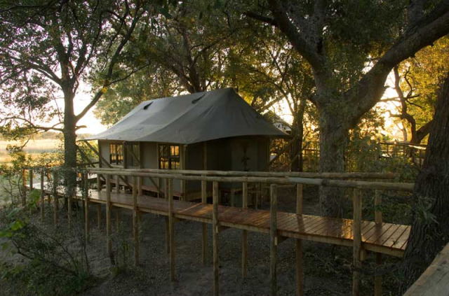 Botswana - Delta de l'Okavango - Wilderness Safaris - Chitabe Camp © Dave Hamman - Tente