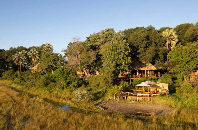 Botswana - Delta de l'Okavango - Wilderness Safaris - Kwetsani Camp © Dana Allen