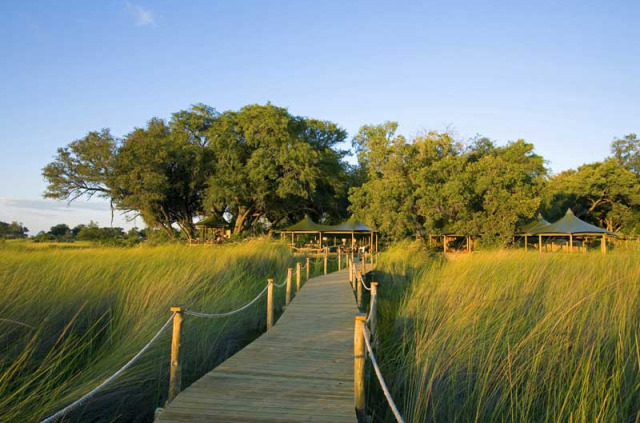 Botswana - Delta de l'Okavango - Wilderness Safaris - Little Vumbura Camp © Mike Myers