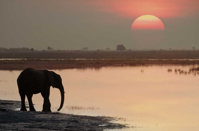 Botswana ©Shutterstock, 2630Ben