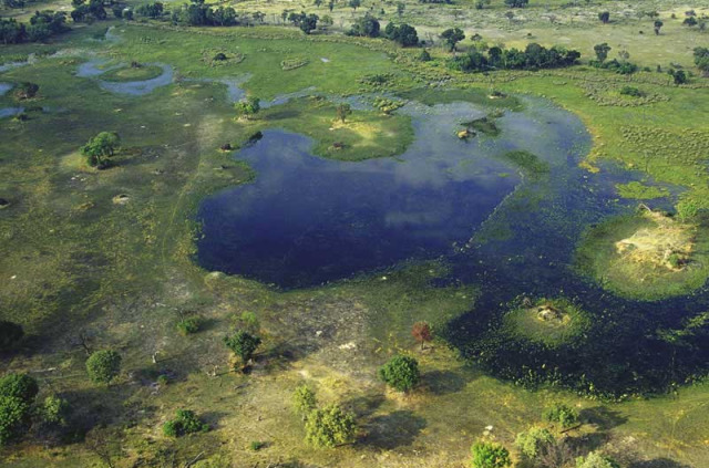 Botswana - Flying safari en avion privé - Delta de l'Okavango