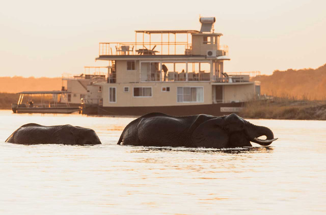 Botswana - Rivière Chobe - Croisière sur le Chobe princess