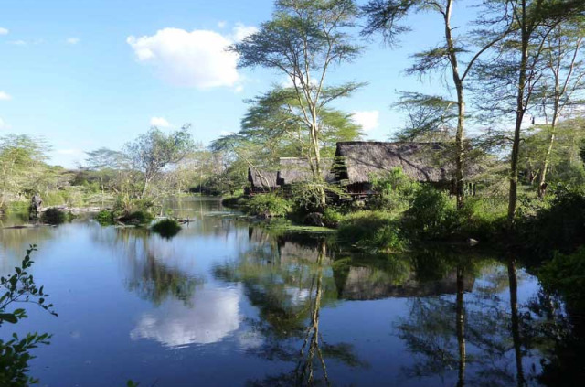 Kenya - Tsavo Ouest - Finch Hattons Camp