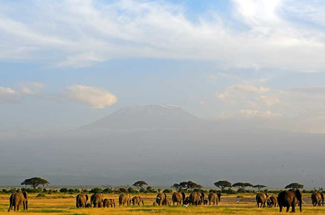 Kenya - Parc national Amboseli © Shutterstock, attila jandi