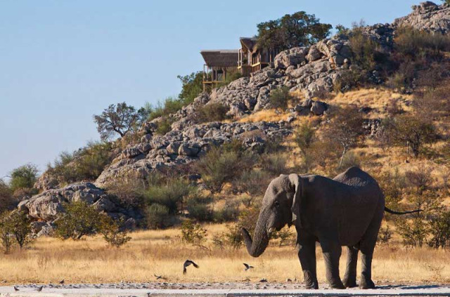 Namibie - Etosha Ouest - Dolomite Camp