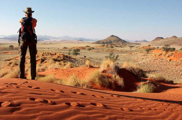 Namibie - Réserve naturelle de Namibrand - Randonnée guidée Tok Tokkie Trails