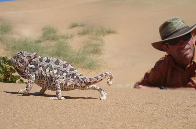 Namibie - Swakopmund - Excursion Découverte de la vie dans le désert