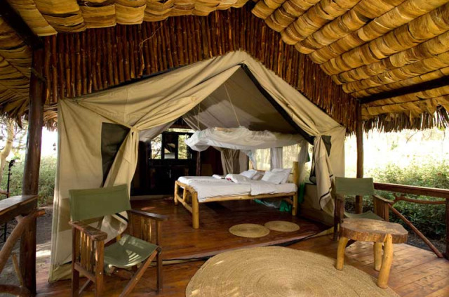 Tanzanie - Manyara - Migunga Forest Camp