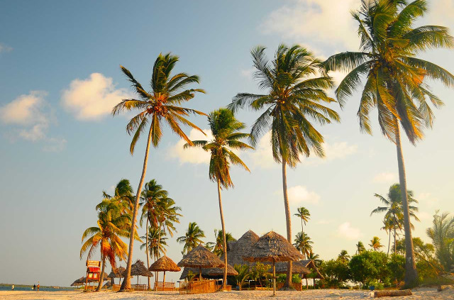 Tanzanie - Mafia Island - Basecamp Mafia Island