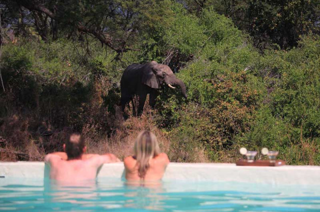 Tanzanie - Ruaha - Jongomero Camp