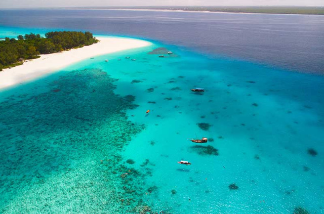 Tanzanie - Zanzibar - Excursion Snorkeling à la réserve marine de Mnemba © Shutterstock, Thomas Pommerin