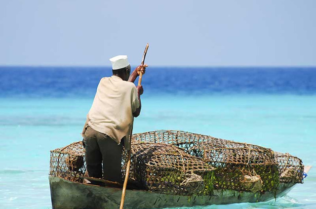 Tanzanie - Zanzibar - Excursion sur l'Ile de Tumbatu ©Shutterstock, Adwoy