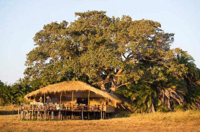 Zambie - Kafue Nord - Busanga Plains Camp