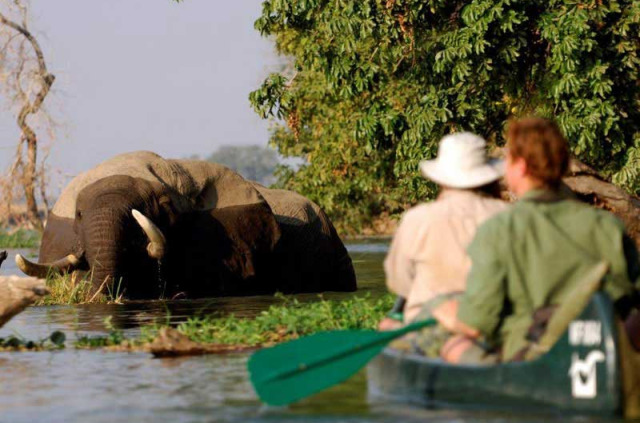 Zimbabwe - Mana Pools - Natureways Explorer - Safari itinérant en canoe version confort