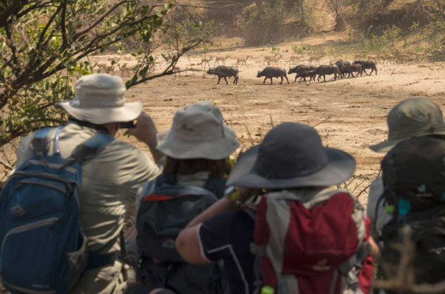 Zimbabwe - Mana Pools - Chitake Spring