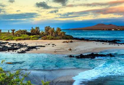 Equateur - Galapagos © Shutterstock - rhg