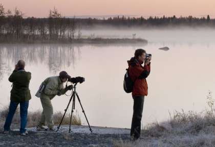 Observation des oiseaux dans le Lakeland