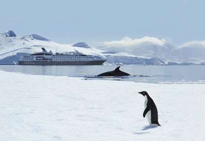 croisière Antarctique ©Nathalie Michel - Ponant