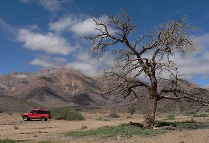 safari en Namibie