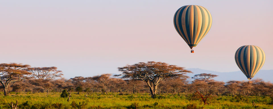 Montgolfières au dessus du Serengeti © Shutterstock - Blue Orange Studio -