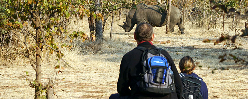 Approche des rhinocéros à Mosi Oa Tunya