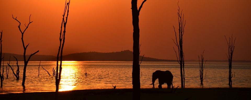 Coucher de soleil sur le lac Kariba © Shutterstock - Hiddenace