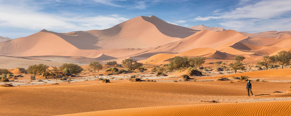 Désert du Namib © Shutterstock - Kanuman